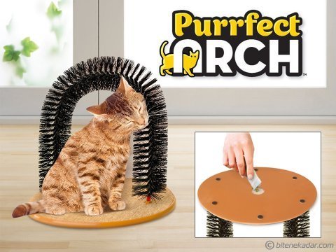 Kedi Tırmalama ve Kaşınma Tahtası: Purrfect Arch
