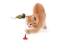 2'li Vantuzlu Fareli Tüylü Hareketli Çanlı ve Esneyen Eğlenceli Peluş Kedi Oyuncağı