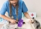 Otomatik Temizlenebilen Tuşlu Pratik Kedi Köpek Tüy Toplama Fırçası