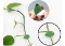 Yaprak Tasarımlı Kablo Bitki Sarmaşık Düzenleyici Yapışkanlı Klipsler 10 Adet