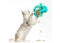 Zilli İnteraktif Mama Kaplı Renkli Eğlenceli Eğitici Kedi Oyuncağı