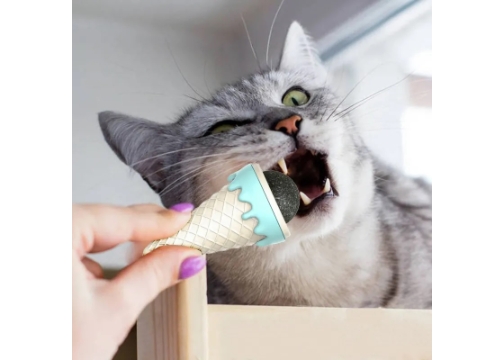 Kedi Nanesi Dondurma Şeklinde Kedi Otu