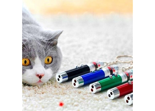 3 Fonksiyonlu Kırmızı Beyaz Işıklı Led Lazer Kedi Köpek Oyuncak Anahtarlık