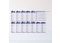 Statik Akıllı Kağıt İngilizce Çarpım Tablosu 100x56 Cm